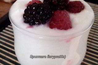 Йогурт из закваски Лактина