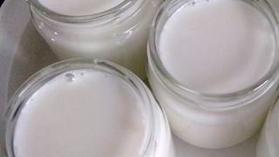 йогурт из закваски лактина