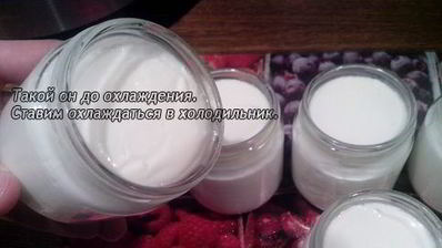 йогурт из закваски лактина