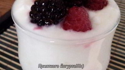 йогурт из закваски лактина