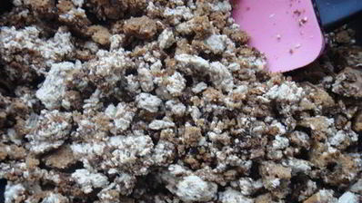 грушевые лодочки с пряником и халвой