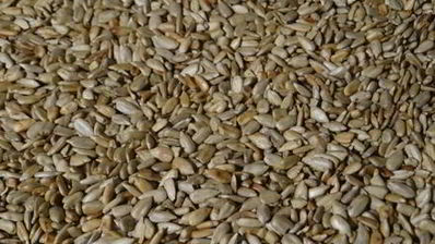 халва домашняя