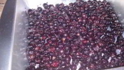 клафути со смородиной