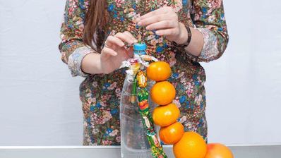 елка из фруктов и конфет