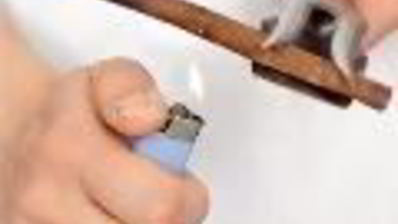 английский крем с корицей