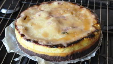 чизкейк крем-брюле