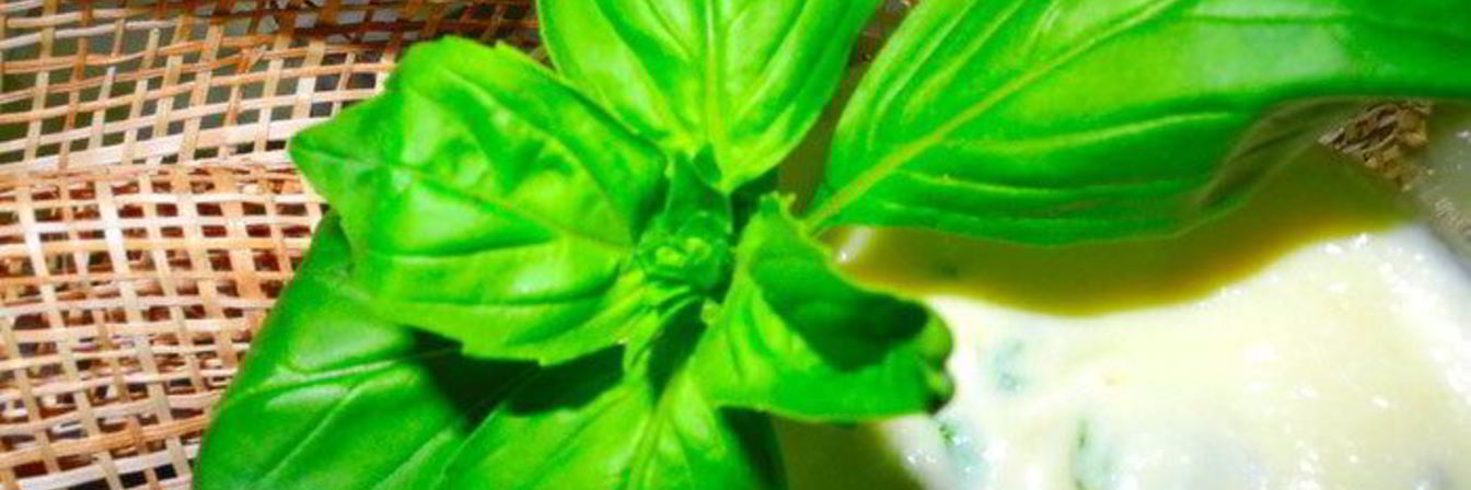 Нежный десертный крем из яблок с базиликом и кардамоном