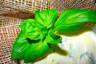 Нежный десертный крем из яблок с базиликом и кардамоном