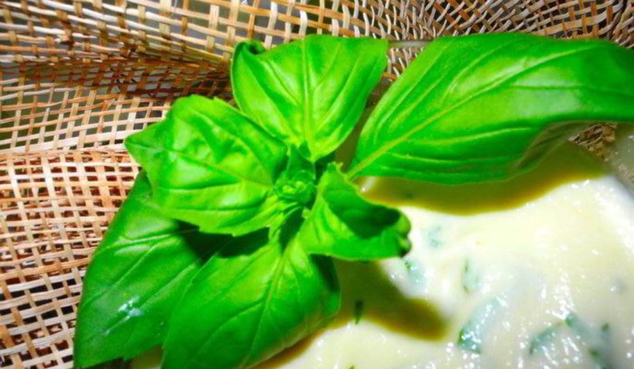 Рецепт нежного десертного крема из яблок с базиликом и кардамоном