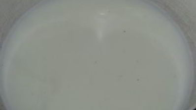 рулет с творожно-клубничным кремом