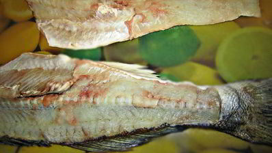 судак под кремовой шубкой