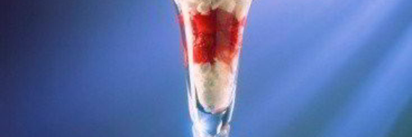 Свежие ягоды с йогуртовым кремом и грецкими орехами