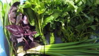 творожный крем с зеленью