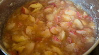 яблочный пластовой мармелад