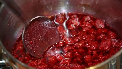 домашнее мороженое с малиновым соусом