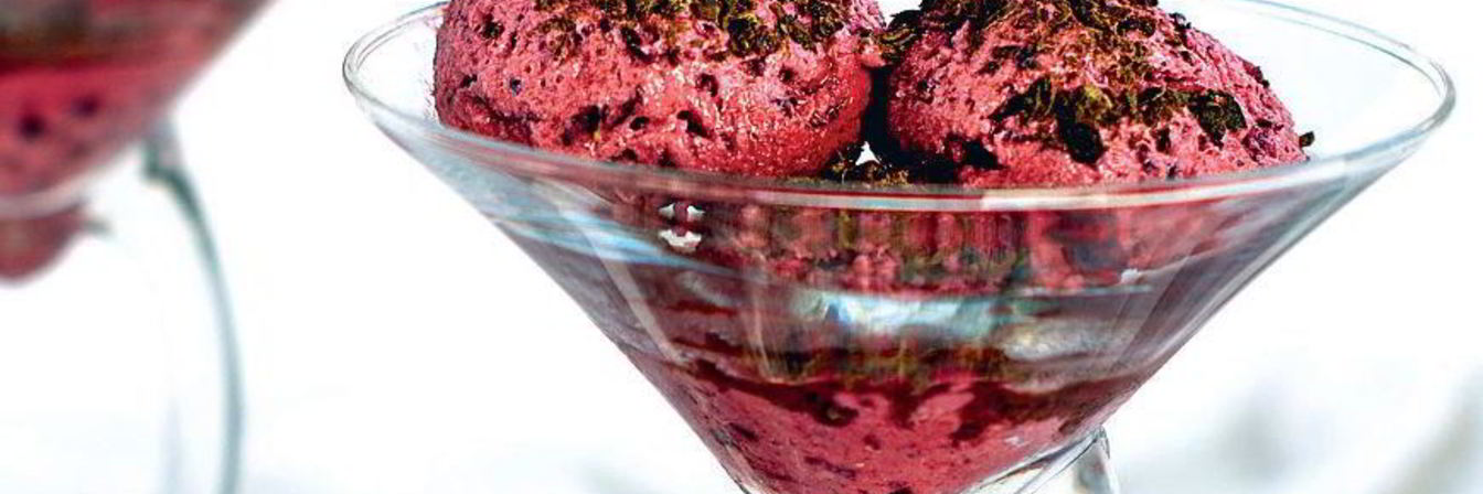 Йогуртовое мороженое с черной смородиной