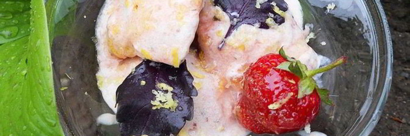 Мороженое с клубникой, базиликом и лимонной карамелью
