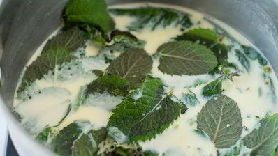 мятное мороженое с шоколадом