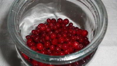 брусничный мусс