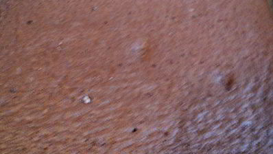 шоколадный рулет с черничным муссом