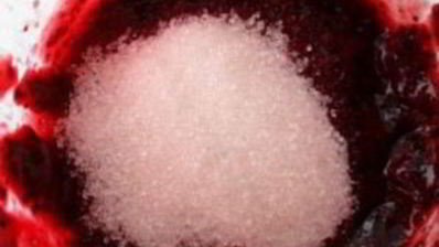 смородиновый мусс