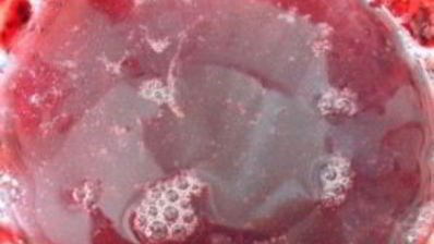 смородиновый мусс