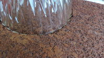 торт-купол цукотто с апельсиновым и шоколадным муссами