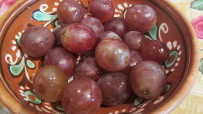 торт-мусс из апельсинового бисквита, винного крем-мусса и розового винограда