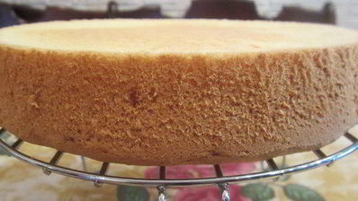 торт-мусс из апельсинового бисквита, винного крем-мусса и розового винограда