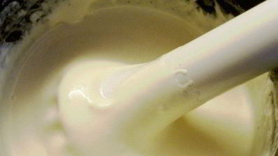 творожный мусс с ореховой нугой и шоколадным марципаном