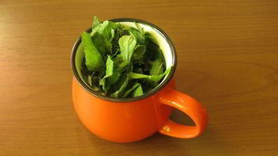 мятный сорбет