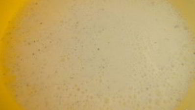 панна котта