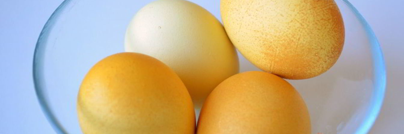 Красим пасхальные яйца в желтый цвет куркумой