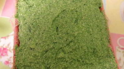 молочно-мятная пасха цветок