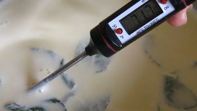 молочно-мятная пасха цветок