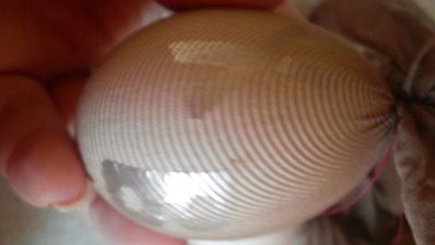 пасхальные яички