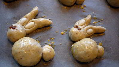 пасхальные зайцы в темно-синем лесу