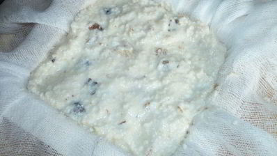 творожная пасха без яиц