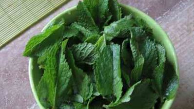 слоеный сметанный десерт