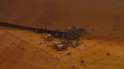 медовое суфле с курагой