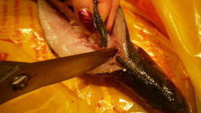 сибас с творожно-сырным суфле и семгой