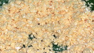 сладкий киш с творожным суфле и абрикосами