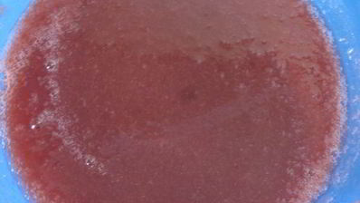 суфле из слив со сгущенным молоком