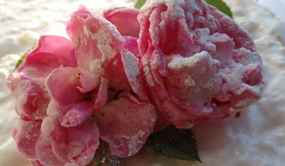 Рецепт торта-суфле цветочное облако