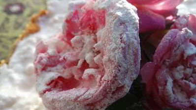 торт-суфле цветочное облако