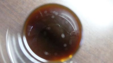 панна котта тирамису