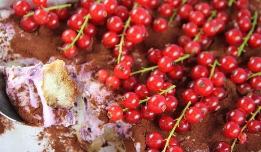 Рецепт тирамису с лесными ягодами