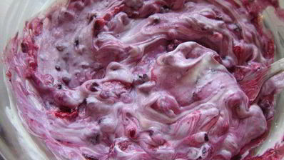 тирамису с лесными ягодами