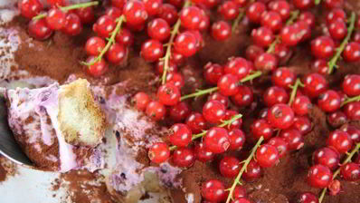 тирамису с лесными ягодами