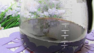 эскимо-тирамису